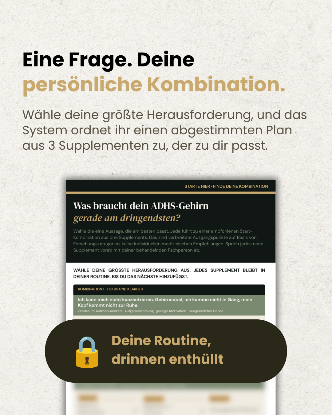 The ADHD Supplement System - Digital Book